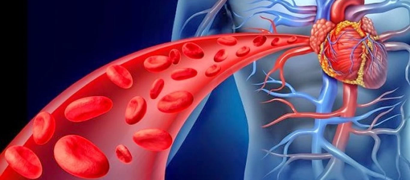 Δείτε ποια είναι τα συμπτώματα που φανερώνουν κακή λειτουργία του αίματος